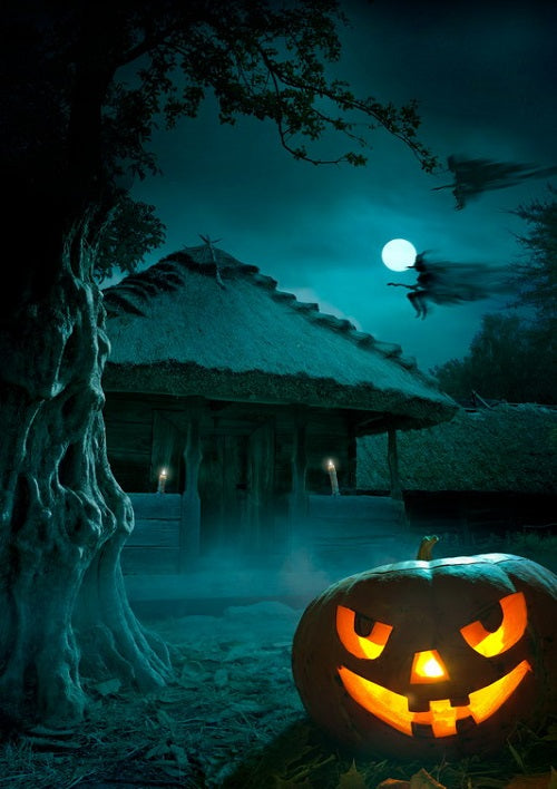 Shop Halloween night background horror lodge backdrop - whosedrop