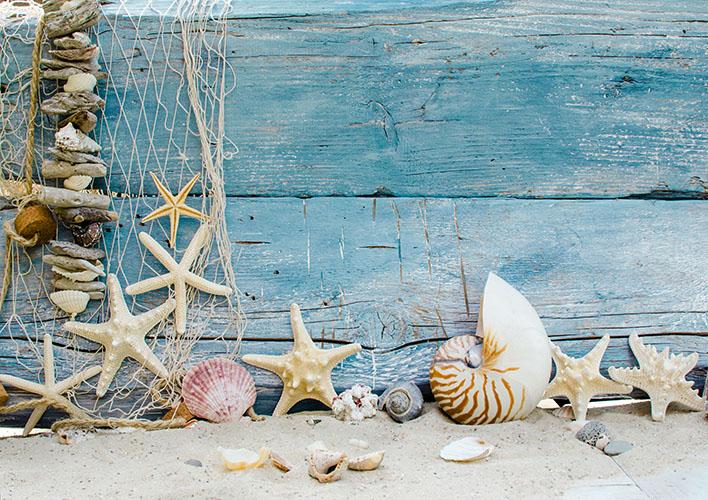 vintage starfish photography