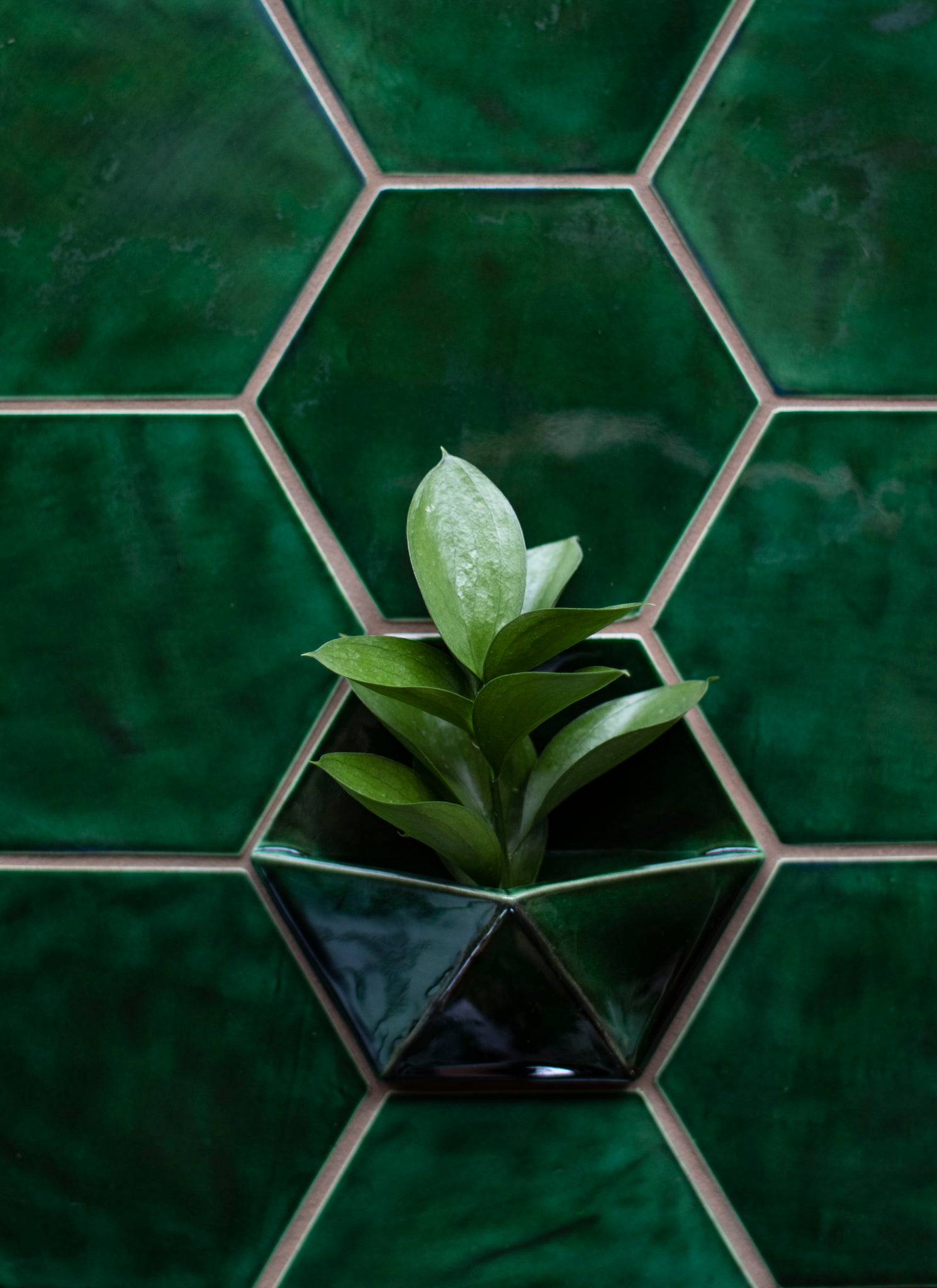 Green Hexagon Ceramic Tile Wall Planter 2048x2048 ?v=1554320432