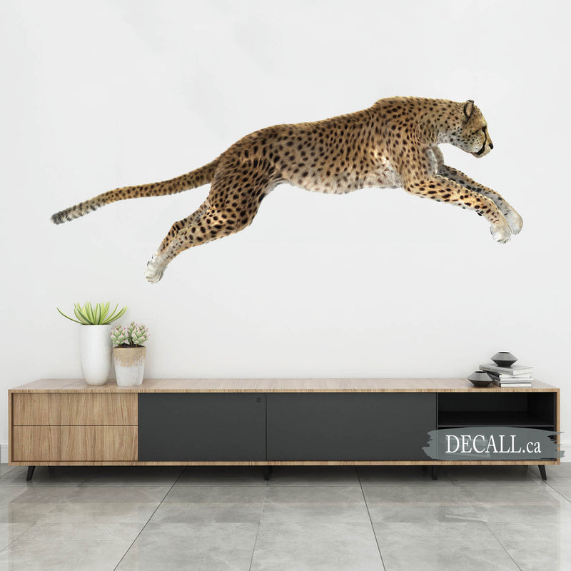 Removable Animal Wall Decals Reusable Animal Wall Stickers in Canada