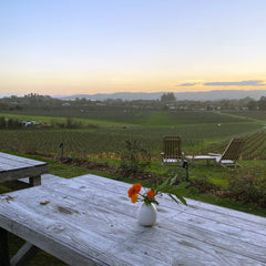 Photo of orange flowers on tabletop overlooking vineyards at Scribe Winery