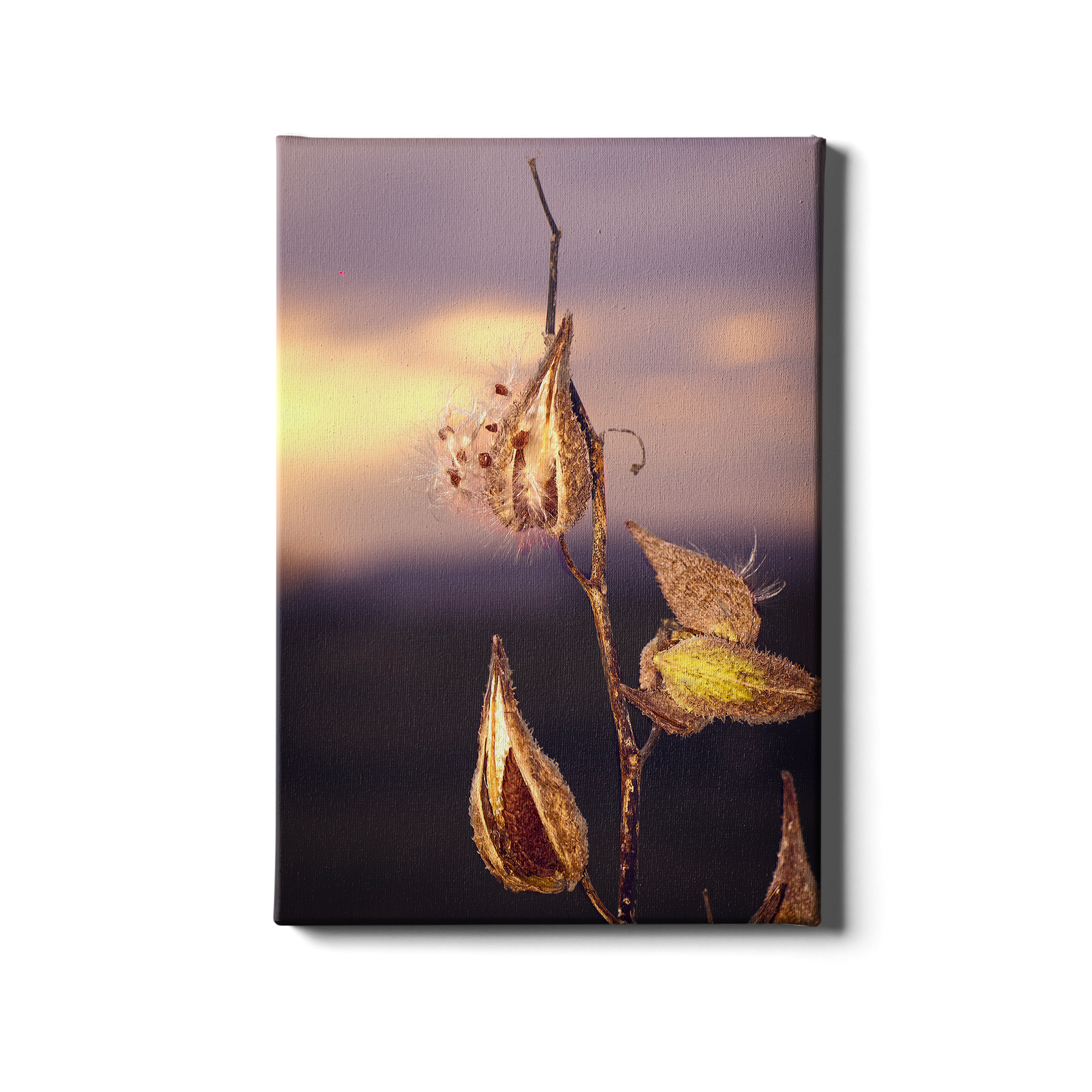 Destination Milk Weed Gallery Wrapped Canvas Wall Art Rebel Wall Art