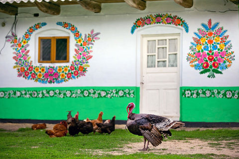 house wall painted in flowery pattern and chicken and turkey sitting at the front of the house