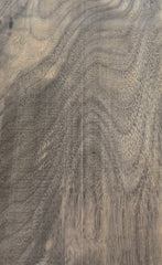Eastern black walnut