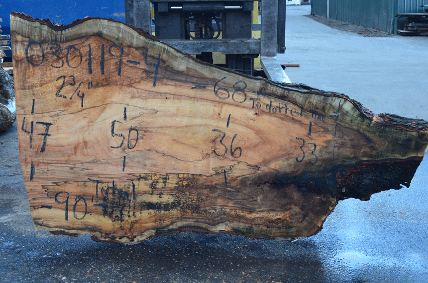 noticed small holes in board in big leaf maple does it mean