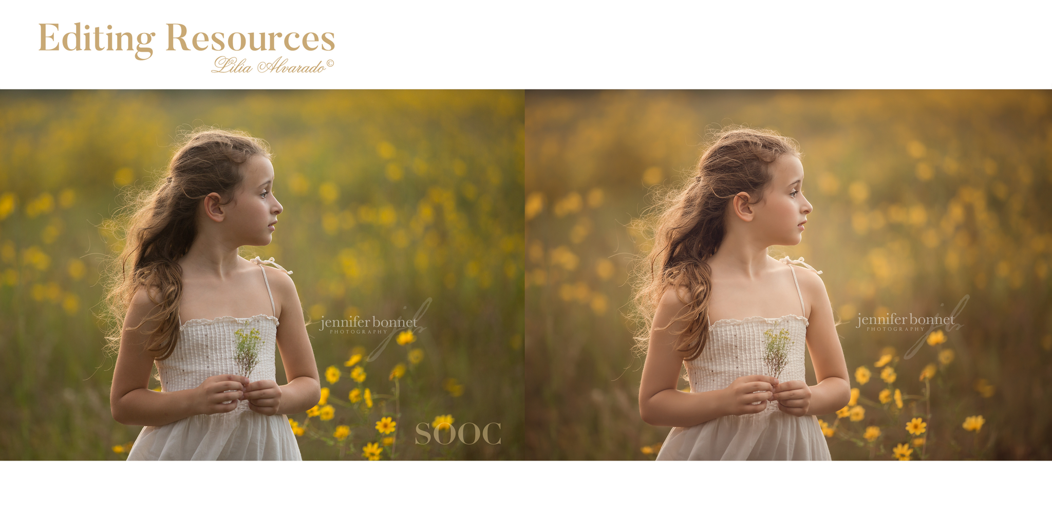 camera raw presets