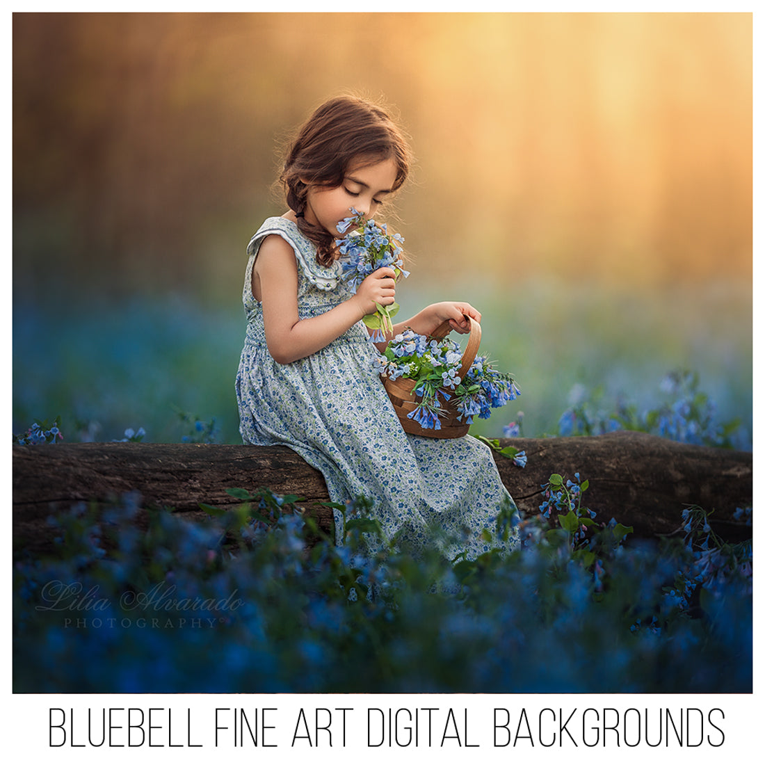 Bluebell Fine Art Backgrounds. A Set of 23 Backgrounds – Editing Resources  by Lilia Alvarado