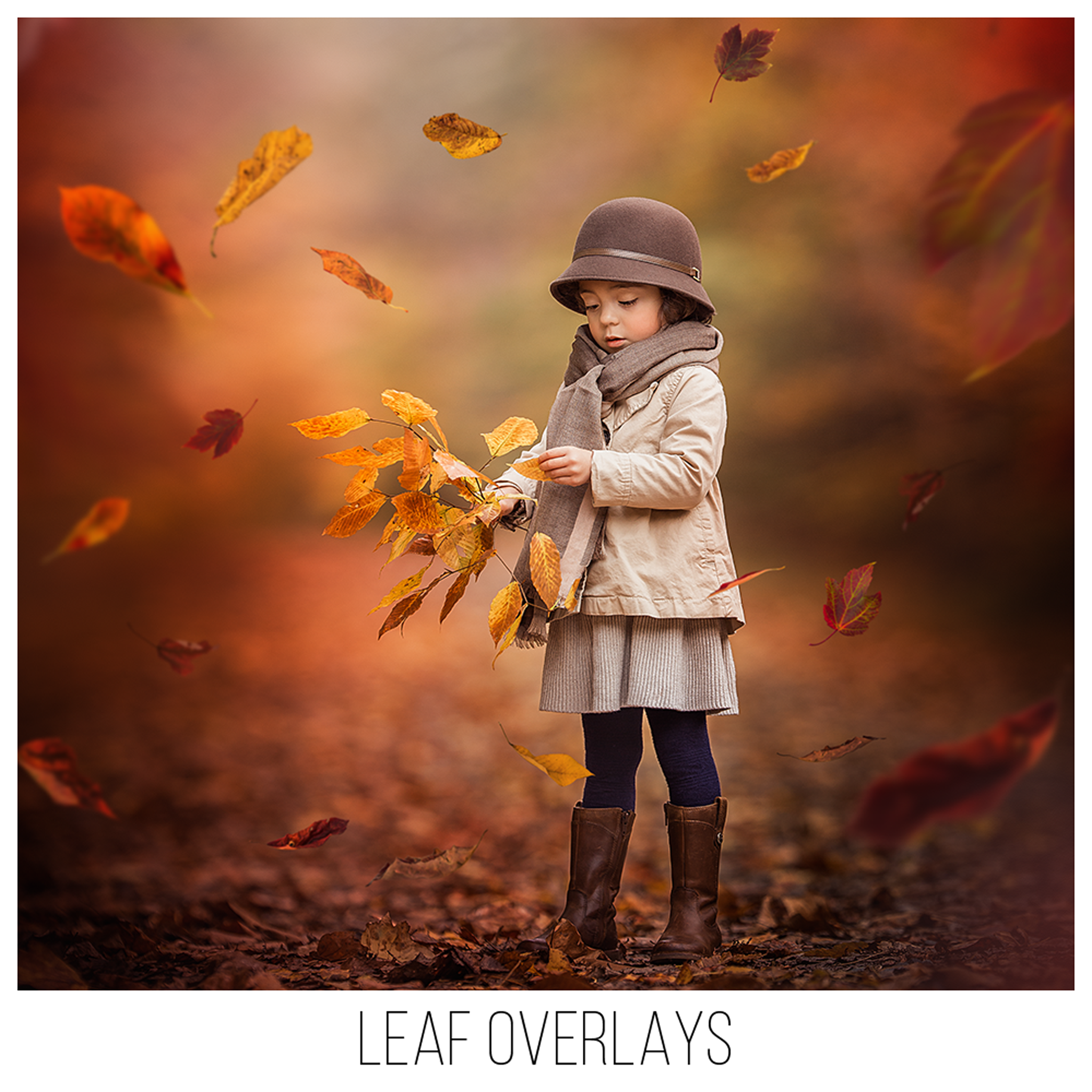 fall leaf overlays