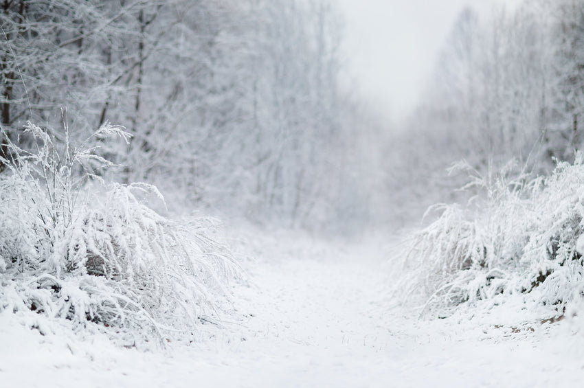 Winter Wonderland Digital Background – editingresources.net