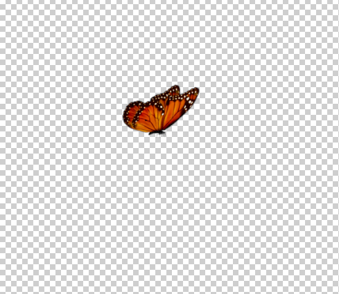 jd butterfly overlay download