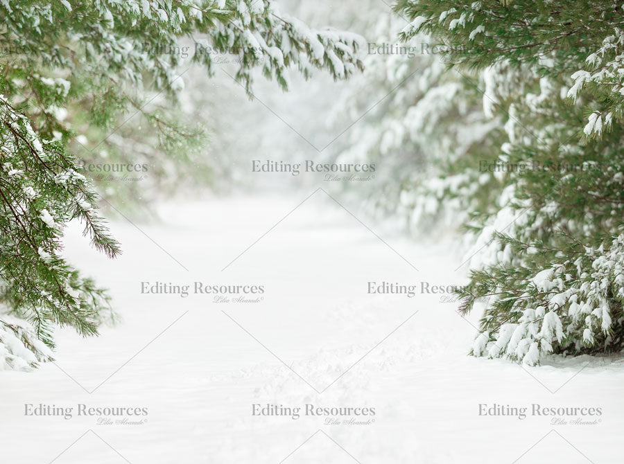 Winter Background I Set – Editing Resources by Lilia Alvarado