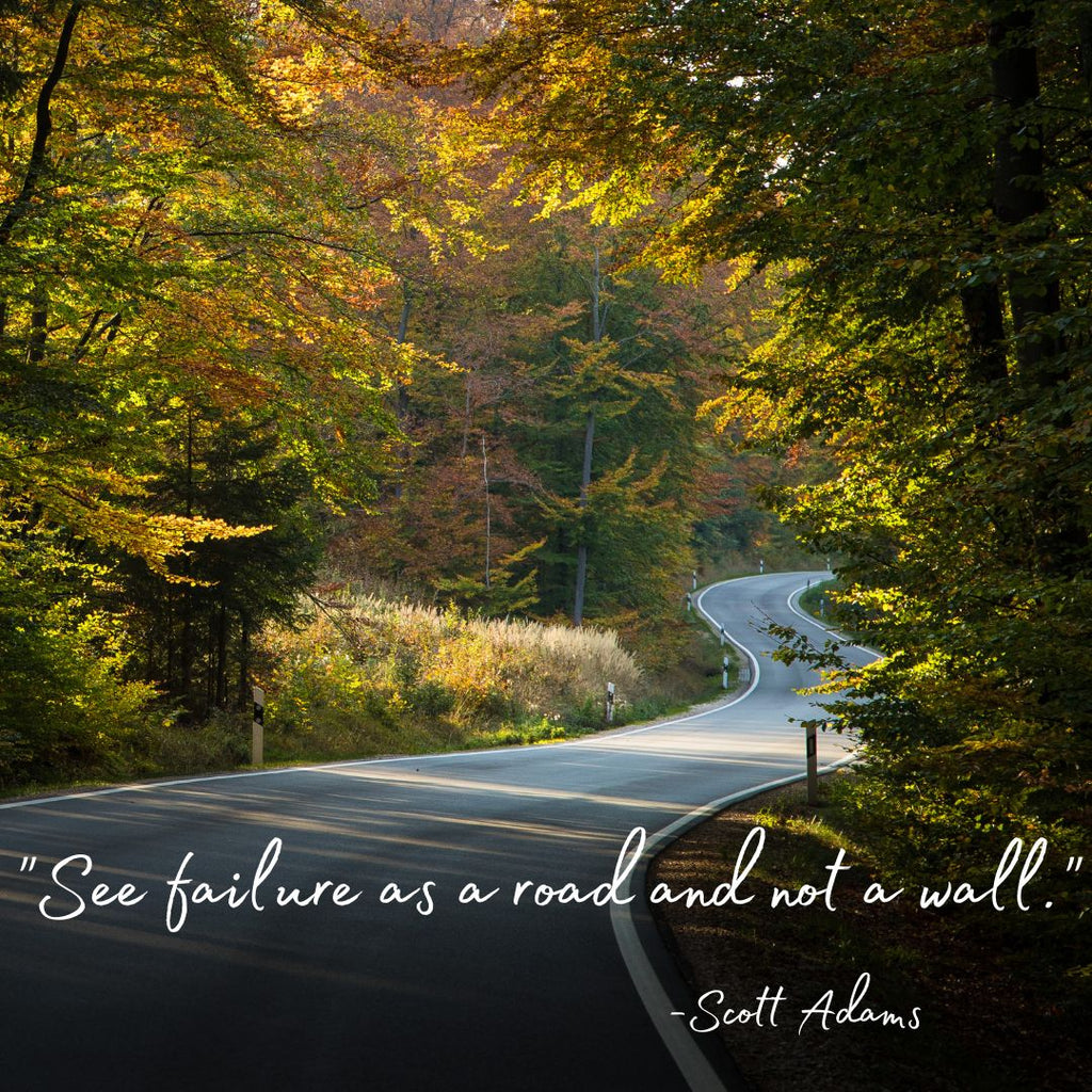 Winding Road with quote from Scott Adams "See failure as a road and not a wall."