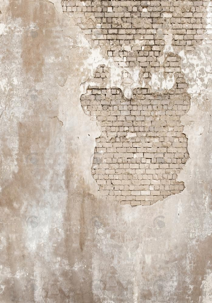 Allenjoy Old Grunge Brick Wall Texture Photography Backdrop Gbsx-00293