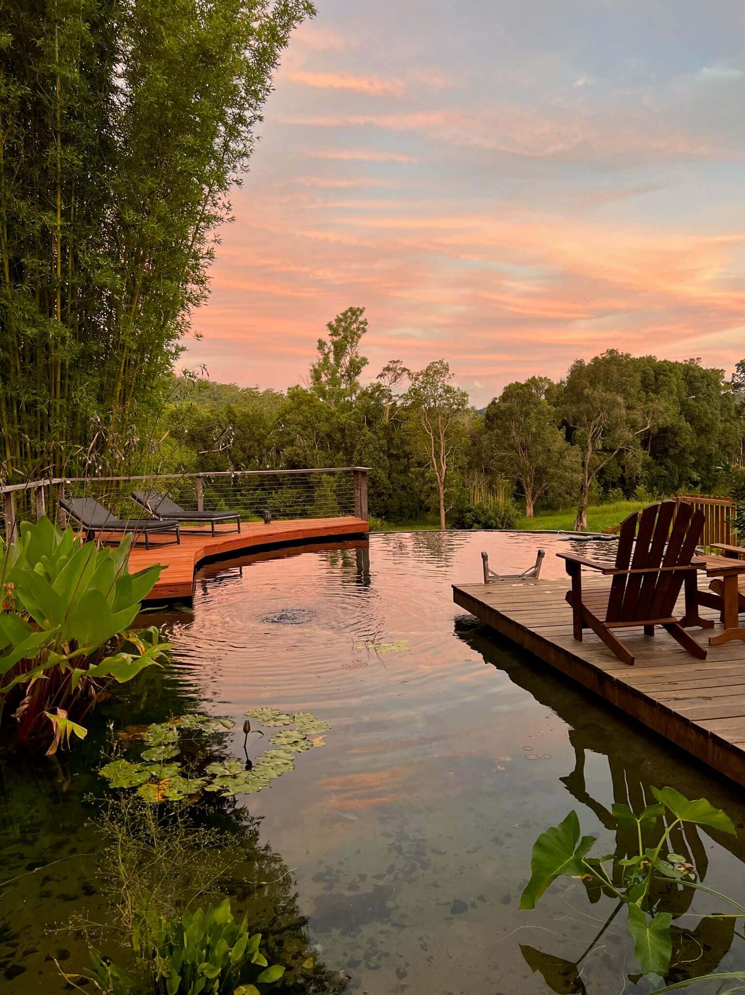 Seed & Sprout Founder Sophie Kovic's Tiny House Natural Pool