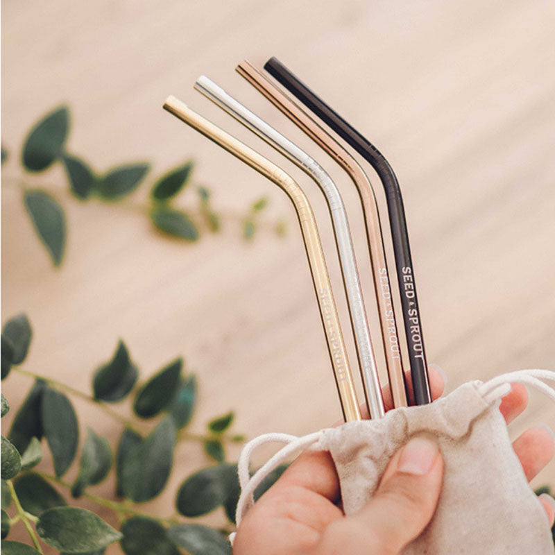 Stainless steel reusable straw set