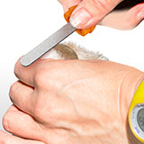 4. File the nails in a sweeping motion to avoid sharp edges.