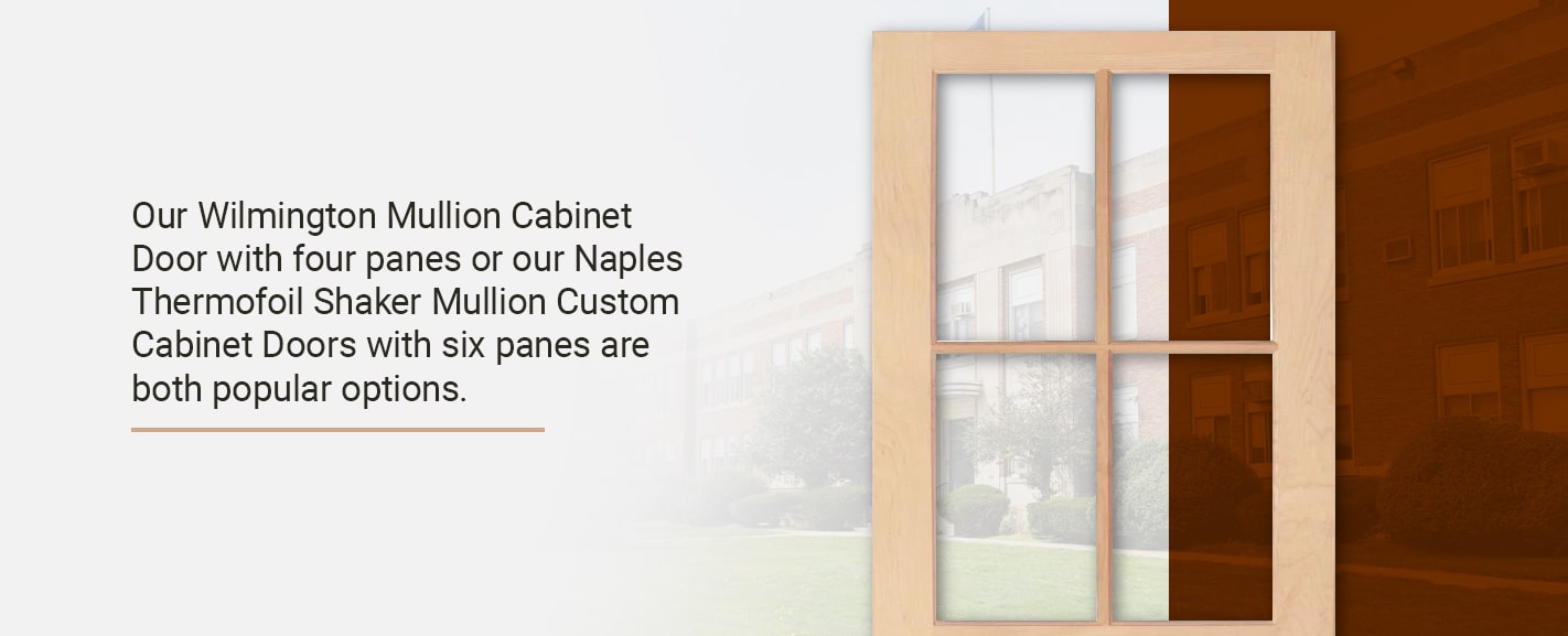 CABINET FRONTS WITH WINDOWS