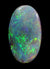 Natural Solid Lightning Ridge Dark Colourful Opal 4.76ct / 205