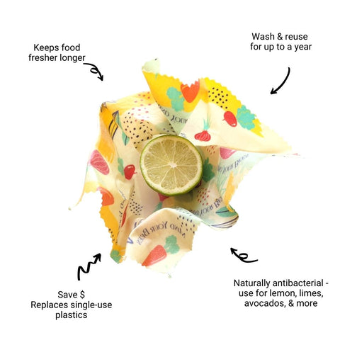 The Use of Beeswax Wraps and 10 Benefits - Green Whale