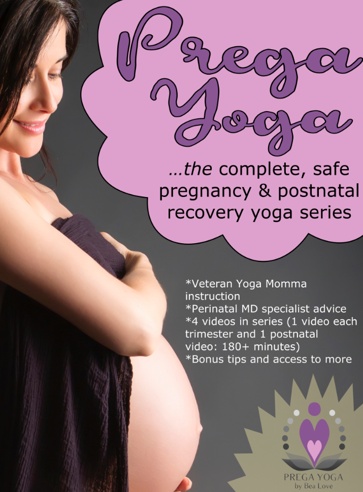 prenatal yoga video