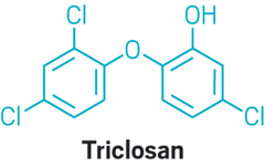 image of the molecular structure of triclosan
