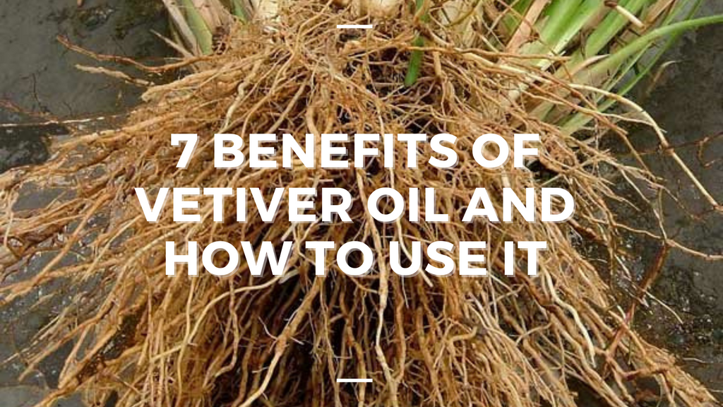 Vetiver, Description, Uses, & Facts