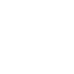 Pinterest icon