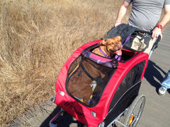 Bike Trailer With Suspension