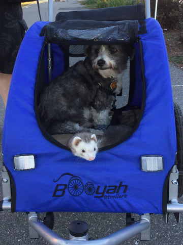 strollers for pets