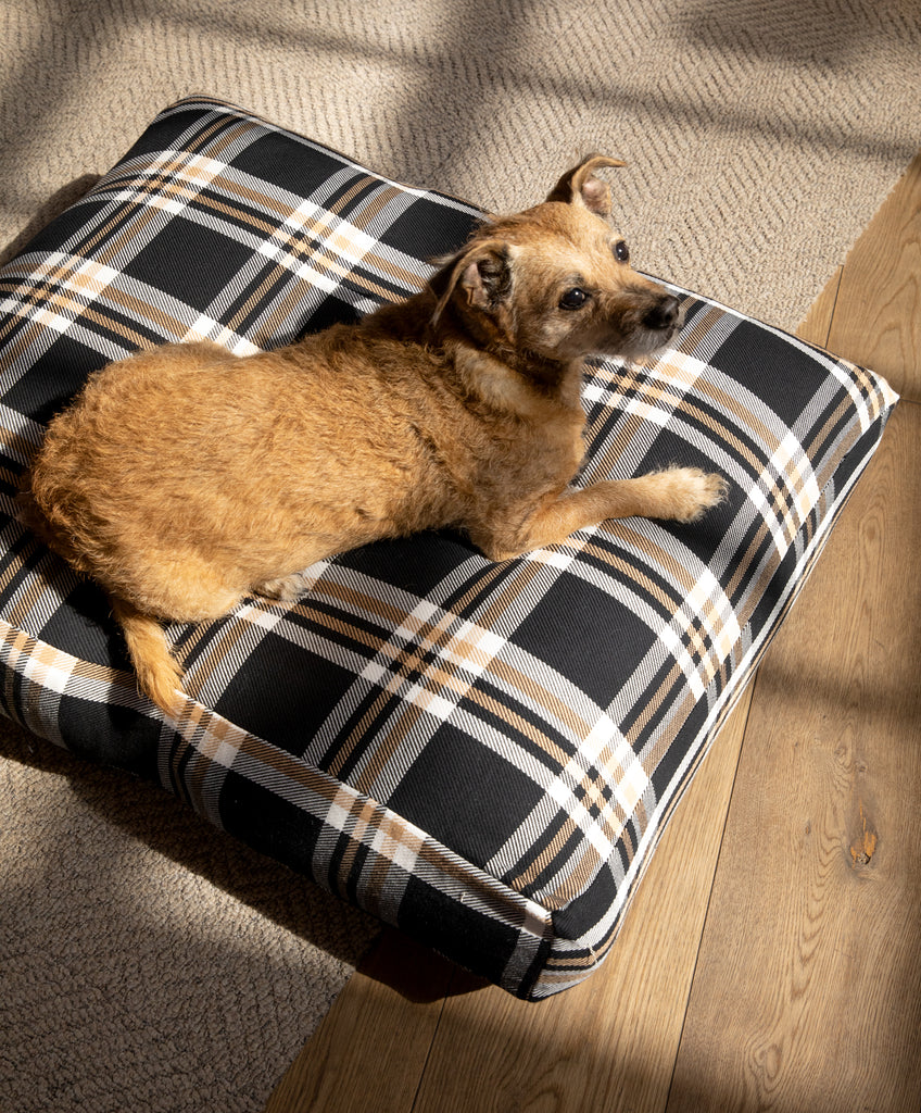 Project Vermont Large Blanket Shirt Dog Bed Cover