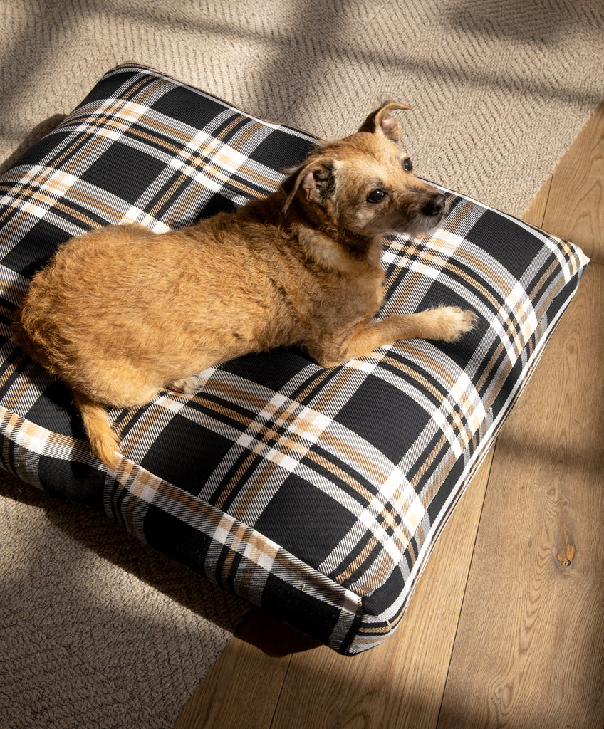 Project Vermont Medium Blanket Shirt Dog Bed Cover