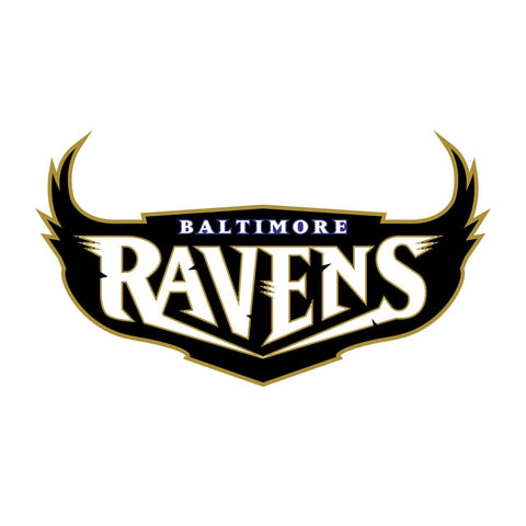 Team Spotlight: Baltimore Ravens