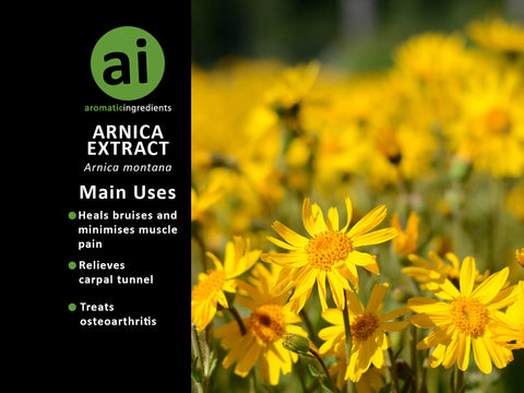 Arnica Extract