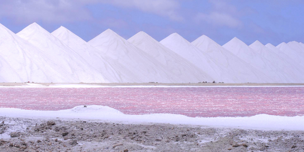 pink salt pans