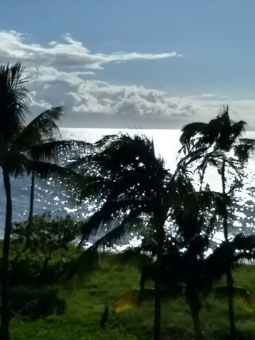 Kauai: Haunted Anti-Paradise