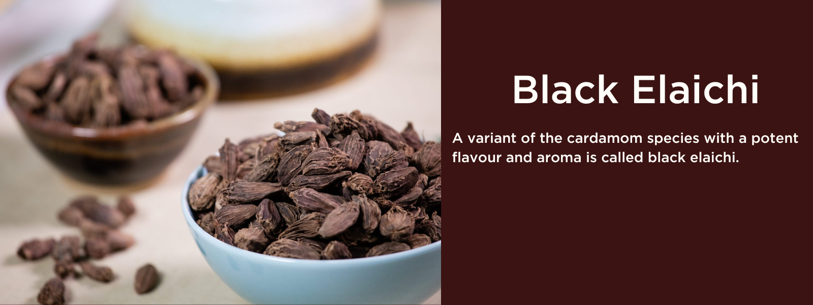 Black Cardamom Badi Elaichi Benefits Uses Recipes Price