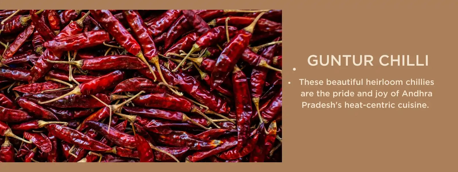 Guntur chilli Health Benefits, Uses and Important Facts PotsandPans