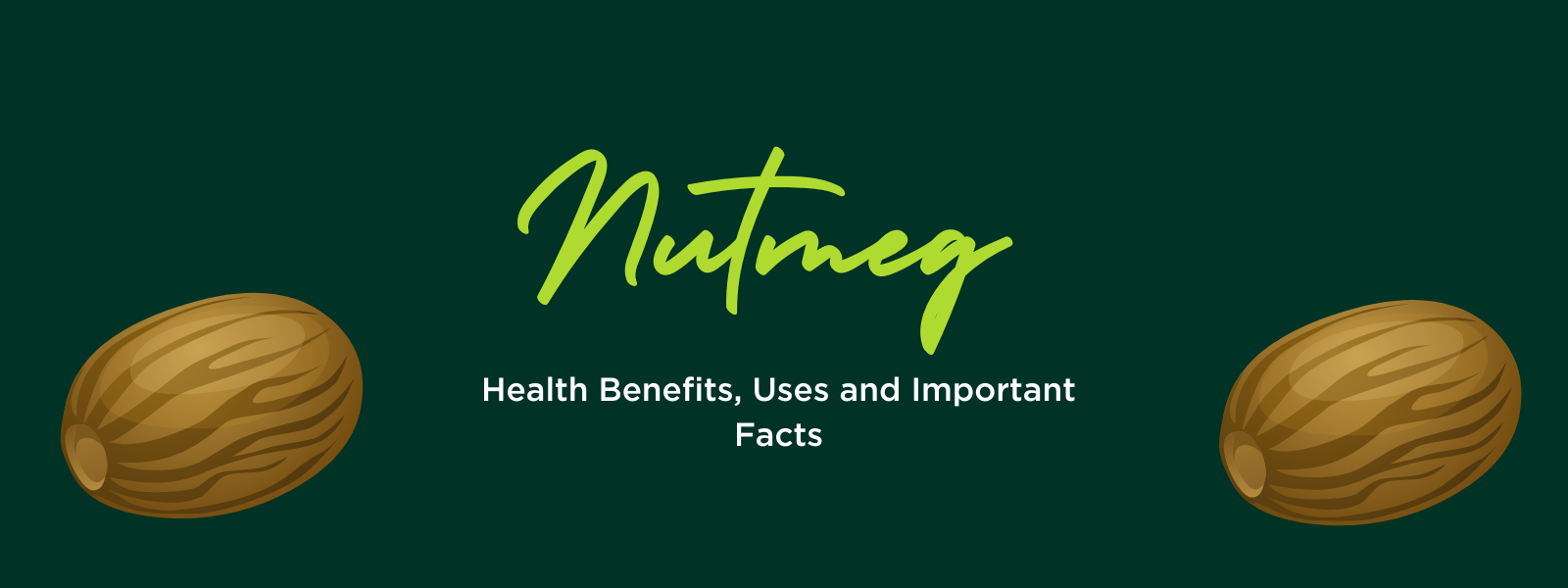 Nutmeg Health Benefits, Uses and Important Facts PotsandPans India