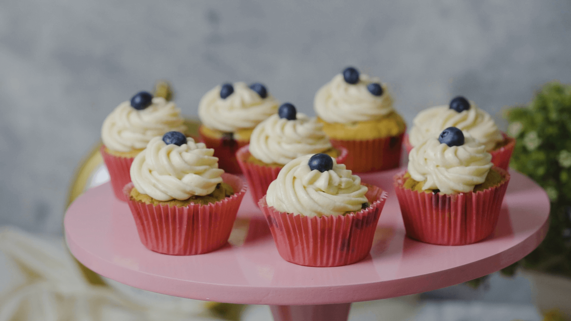 Blueberry Cupcakes