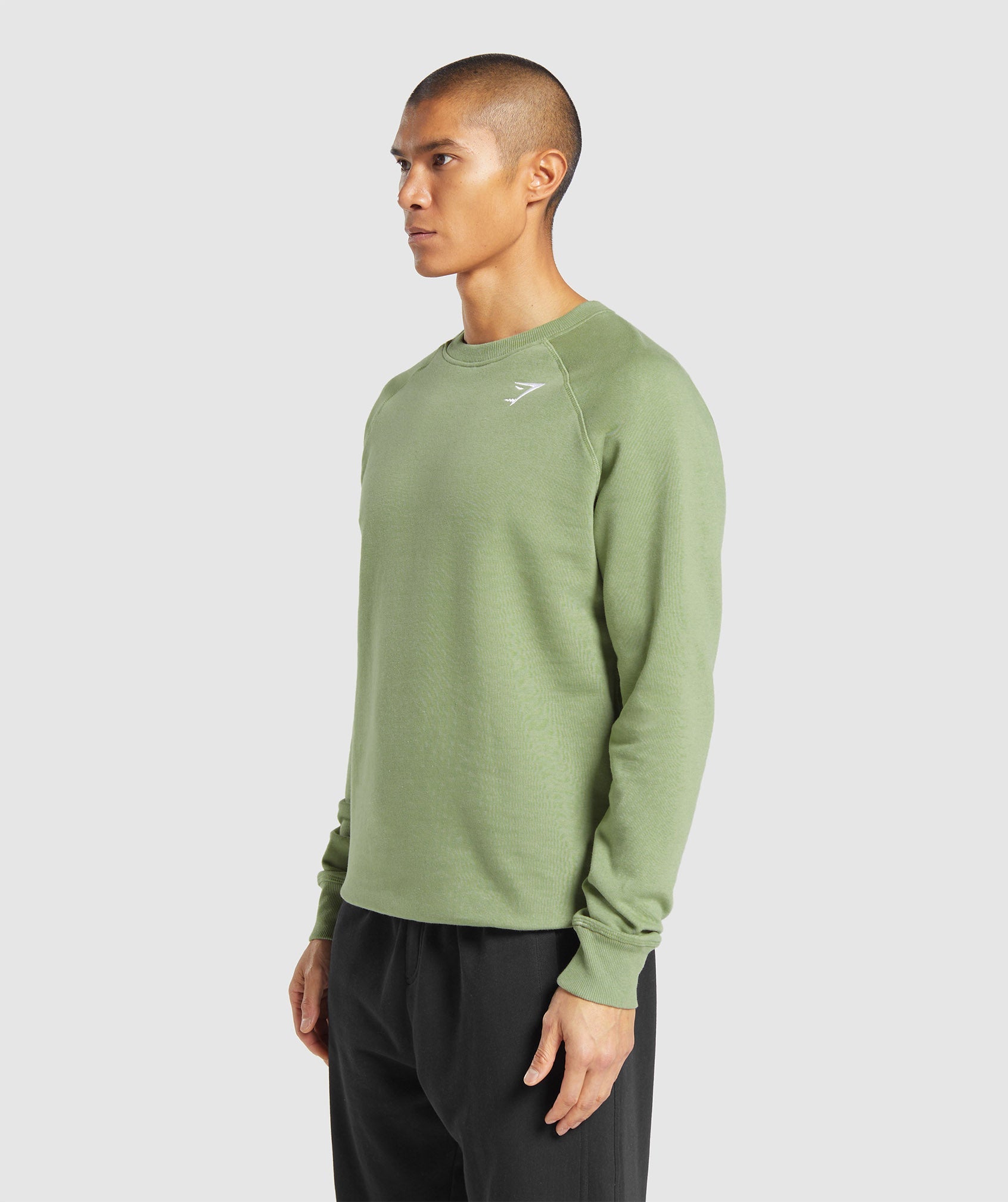 Crest Sweatshirt in Natural Sage Green - view 3