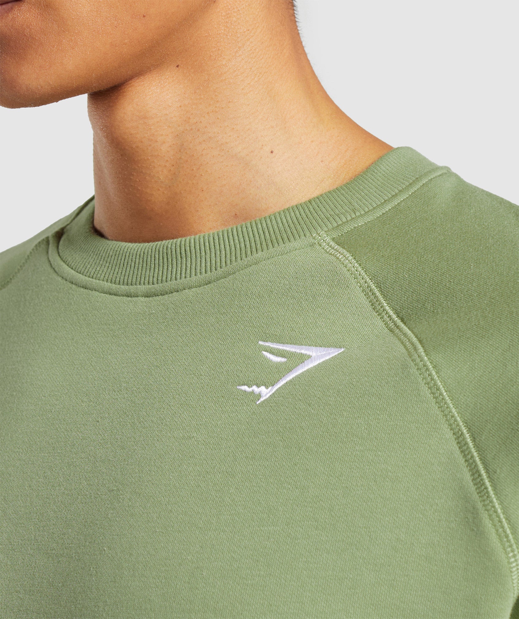 Crest Sweatshirt in Natural Sage Green - view 6