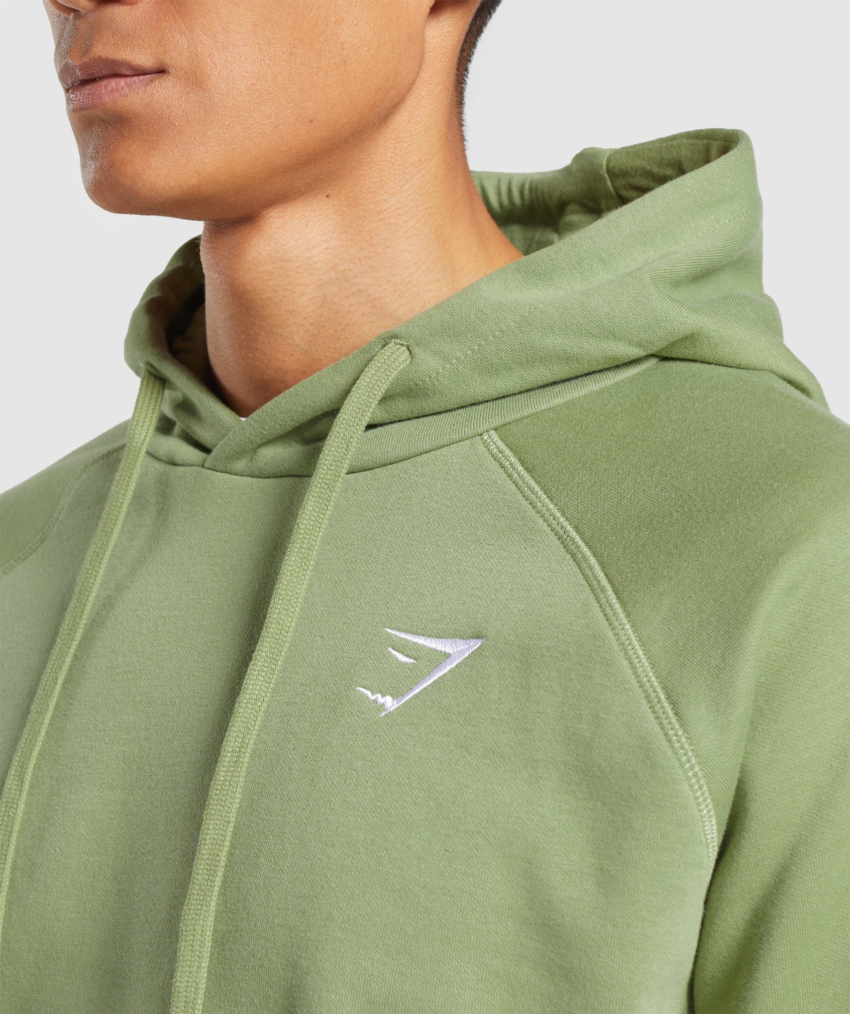 Crest Hoodie in Natural Sage Green - view 5