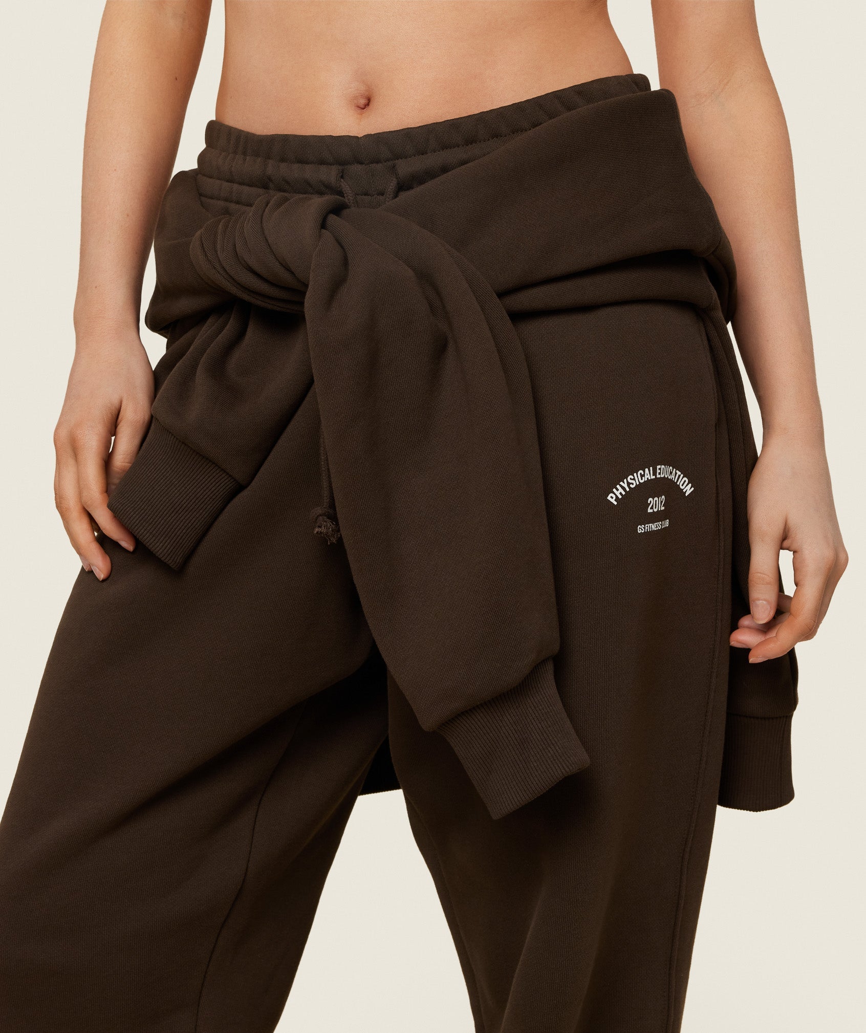 Phys Ed Graphic Sweatpants in Archive Brown - view 5
