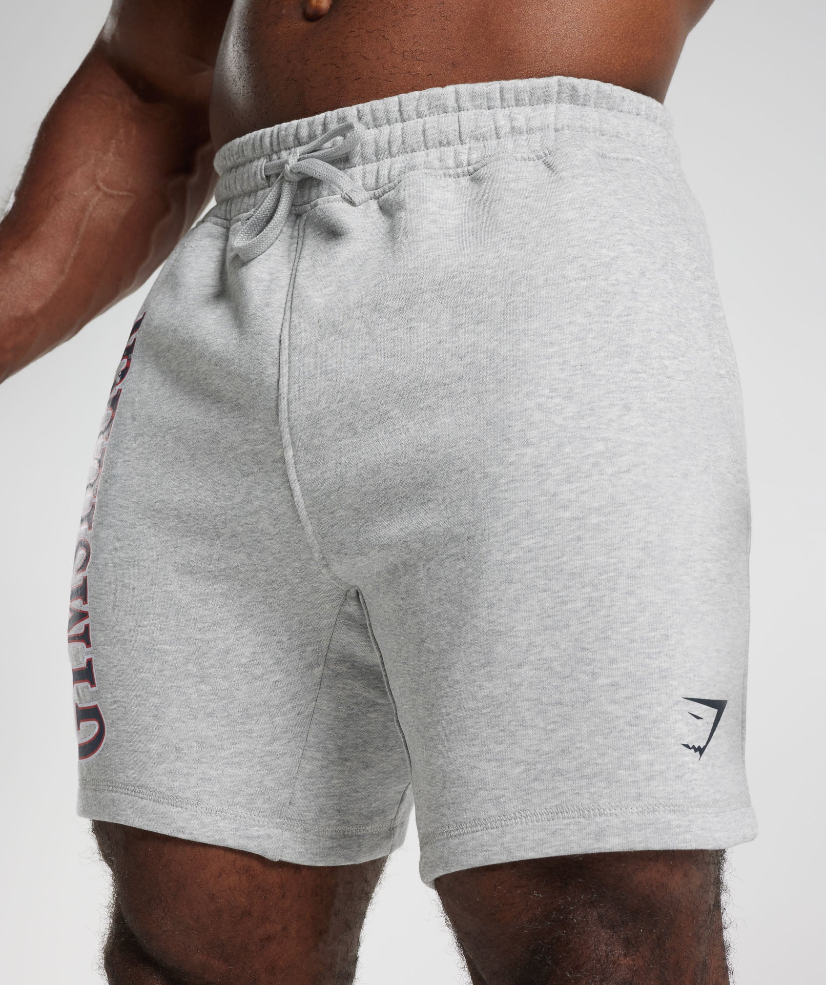 Retrowave Shorts in Light Grey Core Marl - view 6
