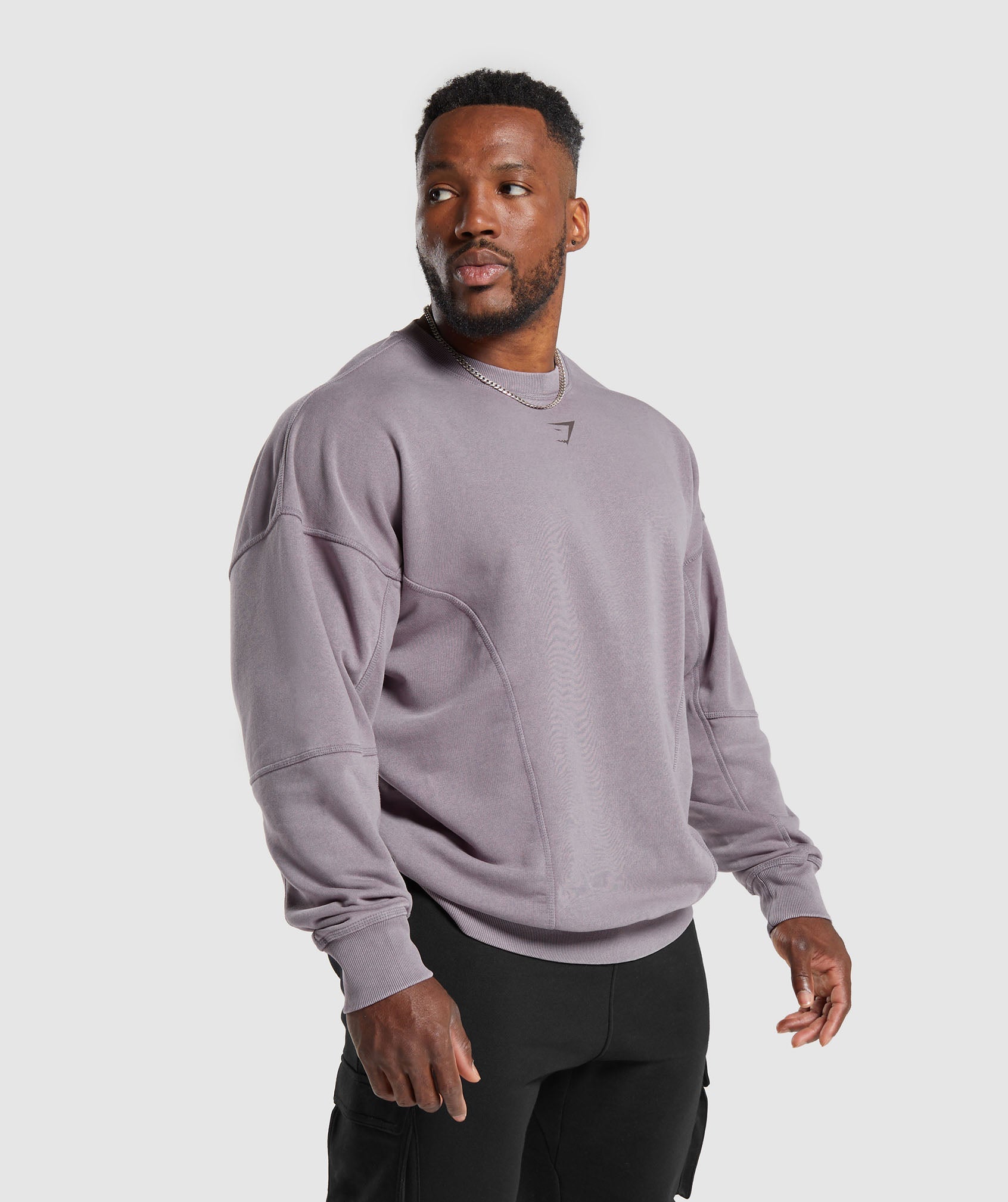 Heritage Washed Crew in Fog Purple - view 3
