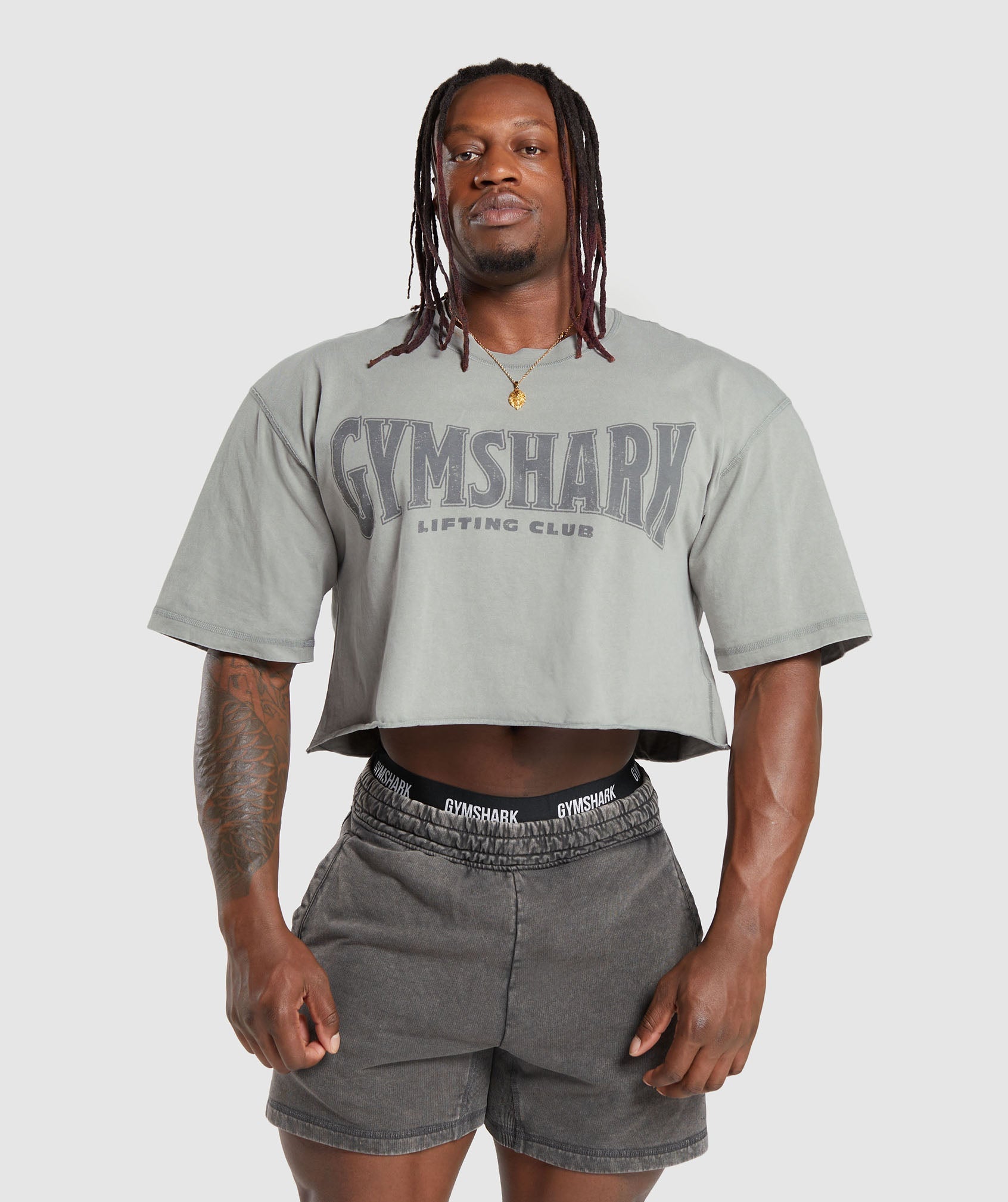 Heritage Washed Crop T-Shirt in Smokey Grey - view 1