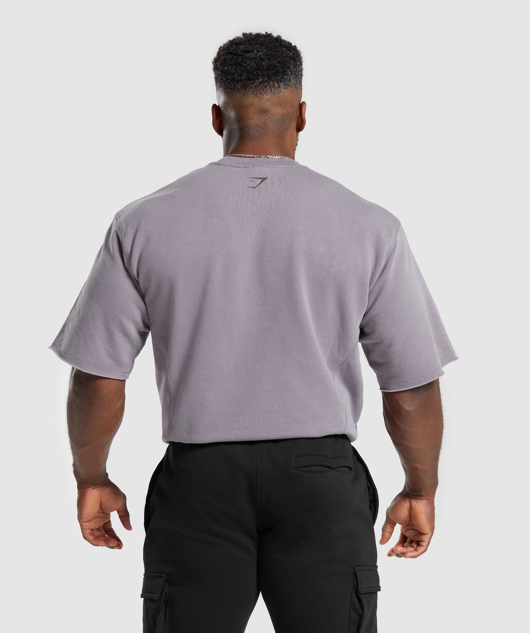 Heritage Washed Short Sleeve Crew in Fog Purple - view 2