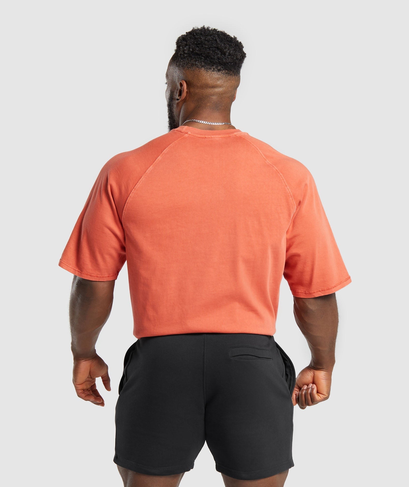 Premium Legacy T-Shirt in Muted Orange - view 2