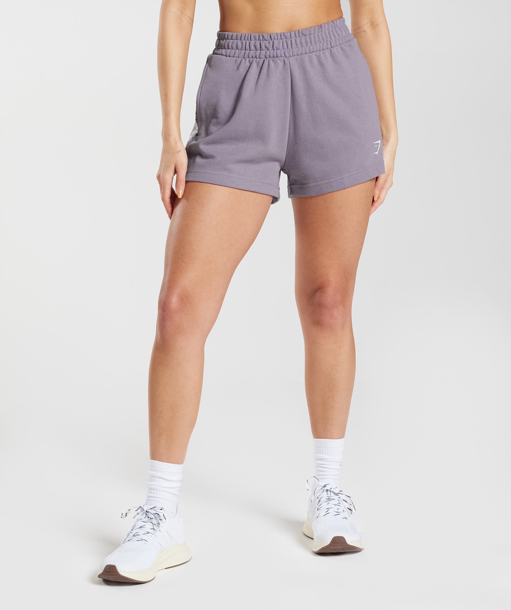 Fraction Sweat Shorts in Slate Lavender