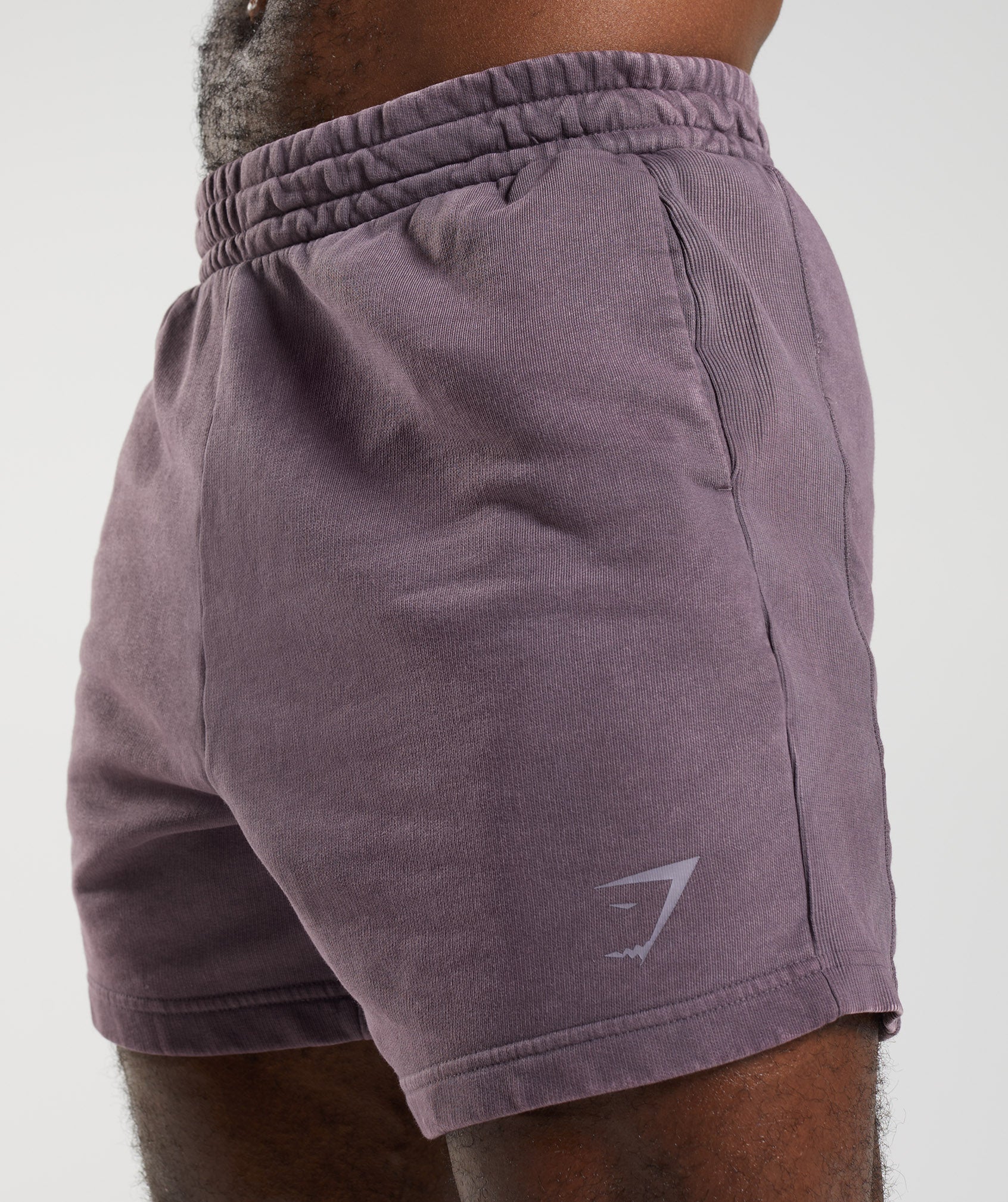 Power Washed 5" Shorts in Musk Lilac